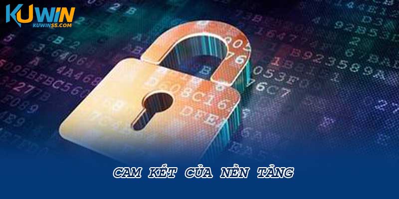 Cam kết của nền tảng